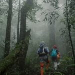 BUKIT LAWANG JOURNEY