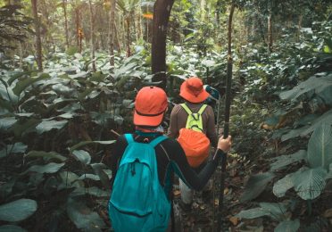 Jungle Trekking Bukit Lawang