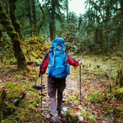 jungle trekking 2 day