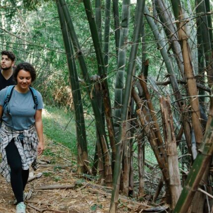 Jungle Trekking 5 Days Into National Park Area 