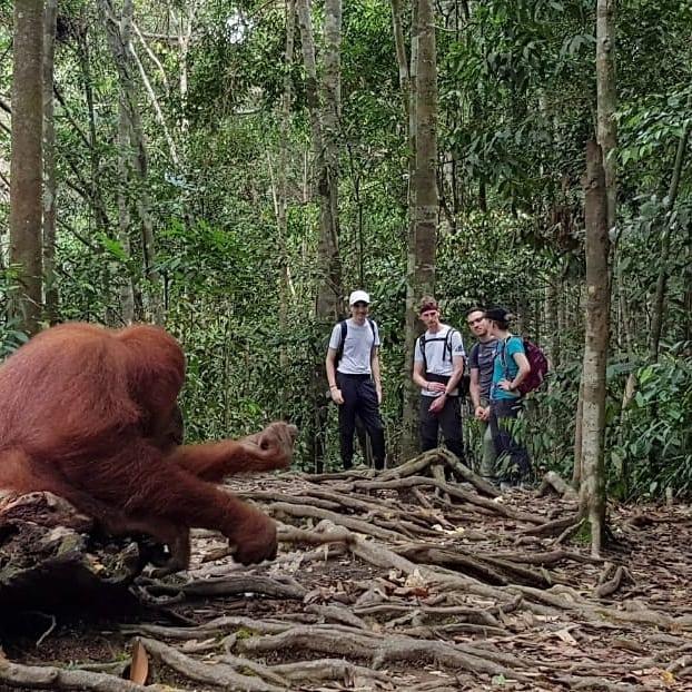 Bukit Lawang Journey-1